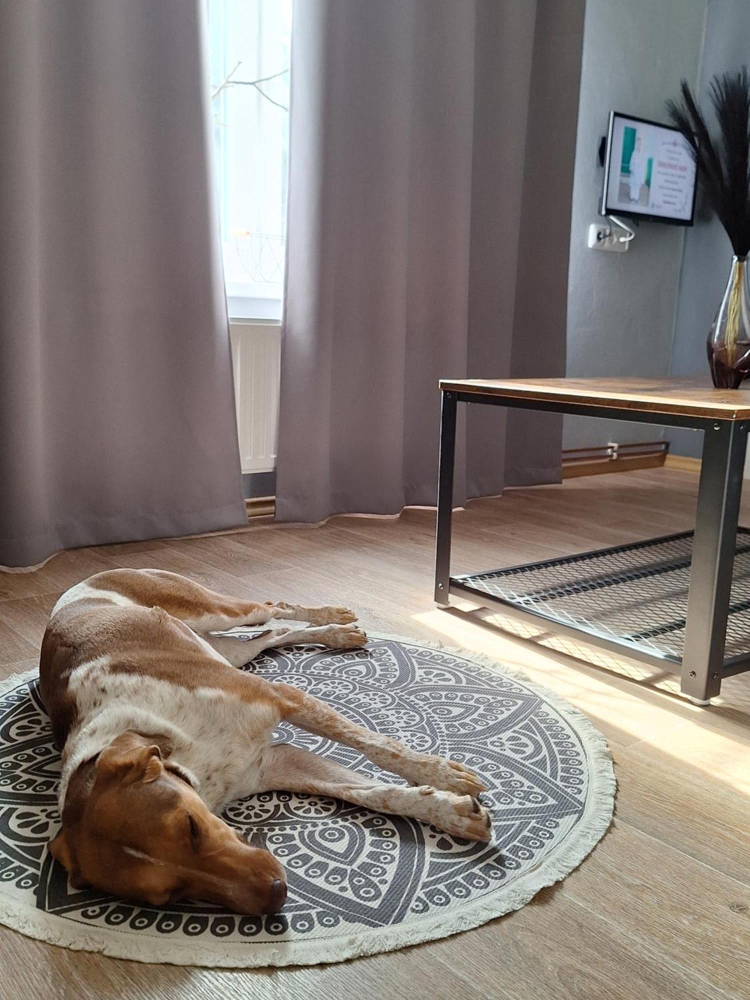 Apartmán Na Peci Lanzhot